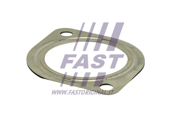 Išleidimo kolektoriaus tarpinė FAST FT84813