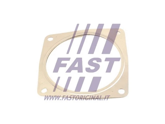 Išleidimo kolektoriaus tarpinė FAST FT84815