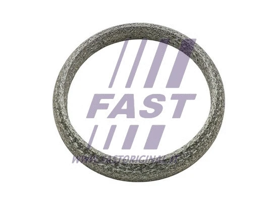 Išleidimo kolektoriaus tarpinė FAST FT84818