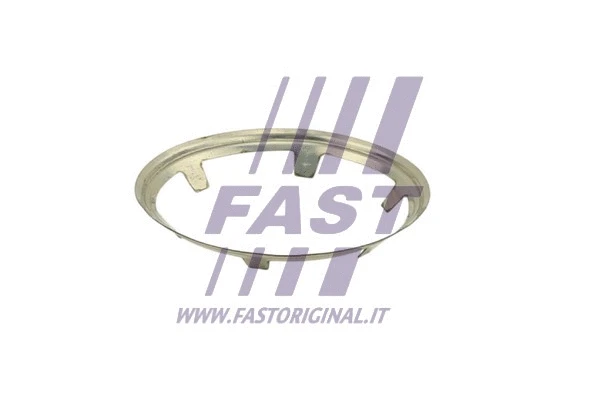 Išleidimo kolektoriaus tarpinė FAST FT84822
