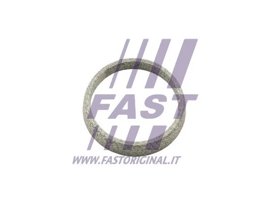 Išleidimo kolektoriaus tarpinė FAST FT84823