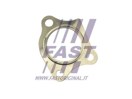 Išleidimo kolektoriaus tarpinė FAST FT84824