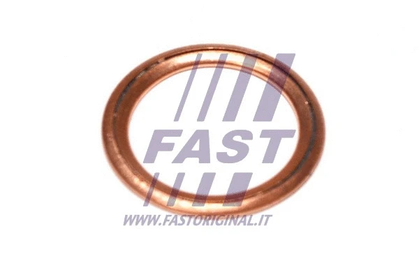 Alyvos išleidimo kaiščio tarpinė FAST FT94716