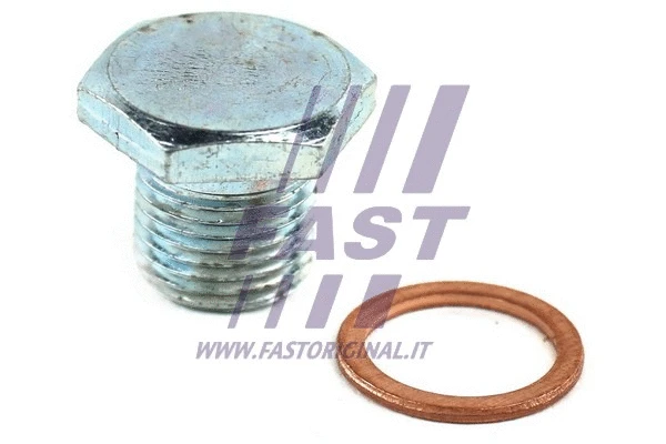 Alyvos karterio alyvos išleidimo kaištis FAST FT94724