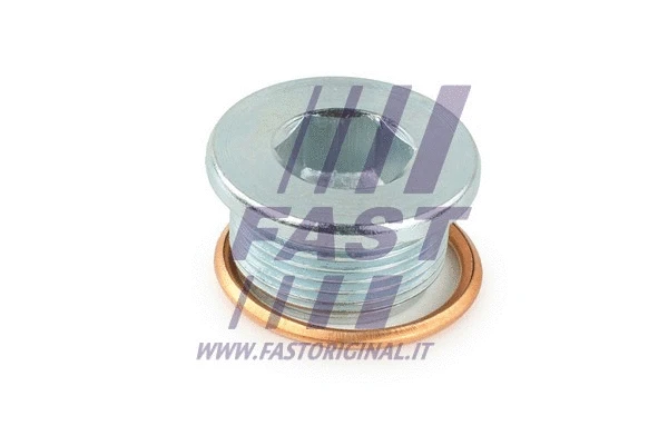 Alyvos karterio alyvos išleidimo kaištis FAST FT94736