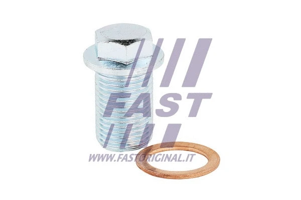 Alyvos karterio alyvos išleidimo kaištis FAST FT94737