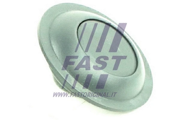 Užrakinimo mygtukas FAST FT95590