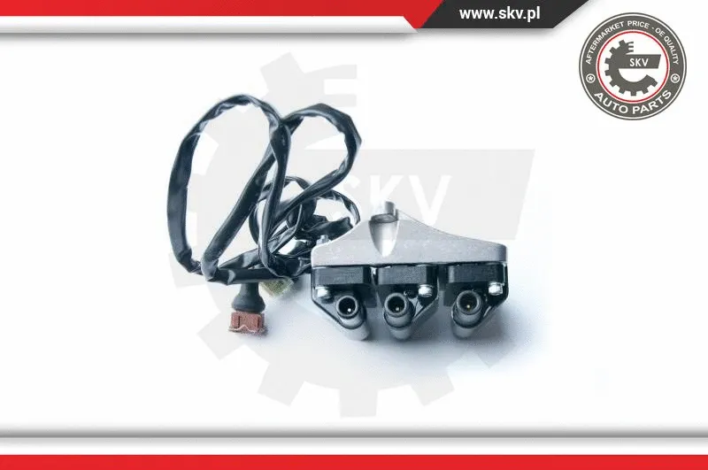 Uždegimo ritė ESEN SKV 03SKV217