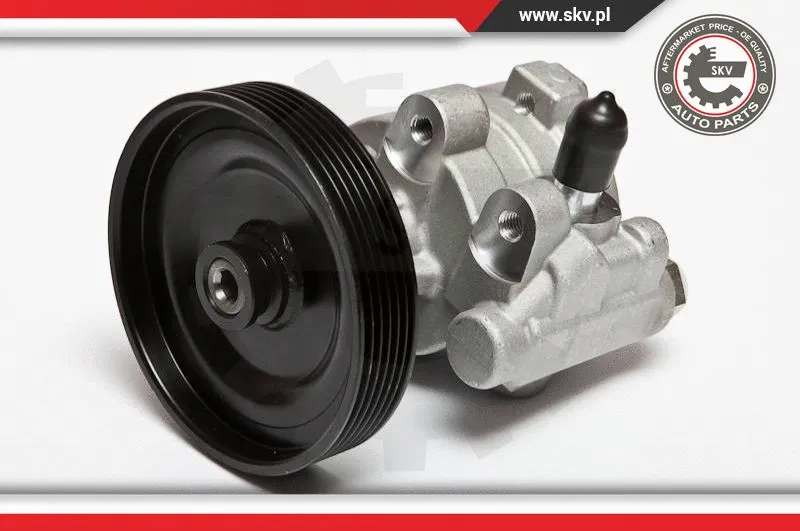 Vairo sistemos hidraulinis siurblys ESEN SKV 10SKV068