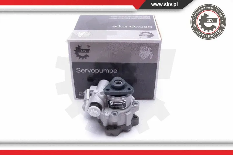 Vairo sistemos hidraulinis siurblys ESEN SKV 10SKV305