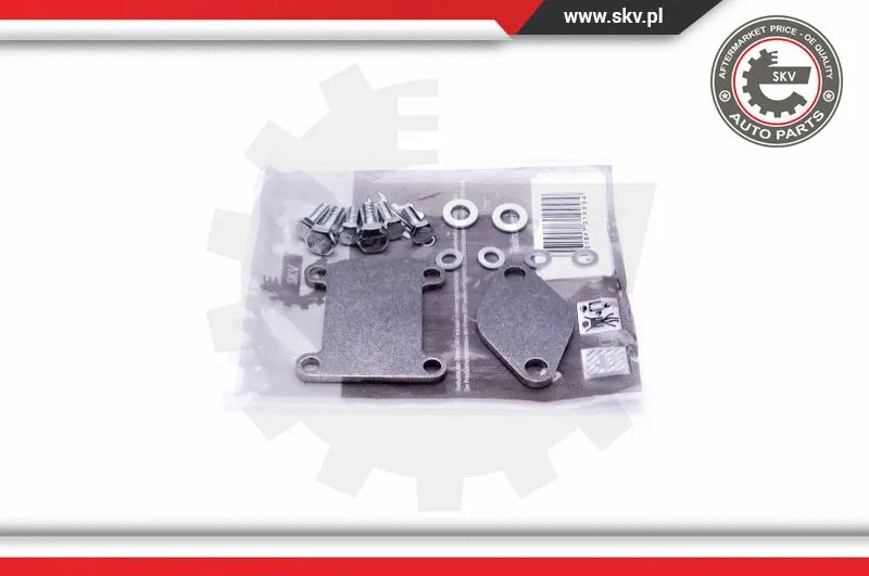 EGR vožtuvo remonto komplektas ESEN SKV 14SKV502