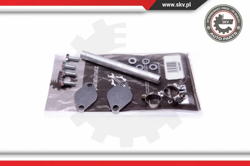 EGR vožtuvo remonto komplektas ESEN SKV 14SKV507