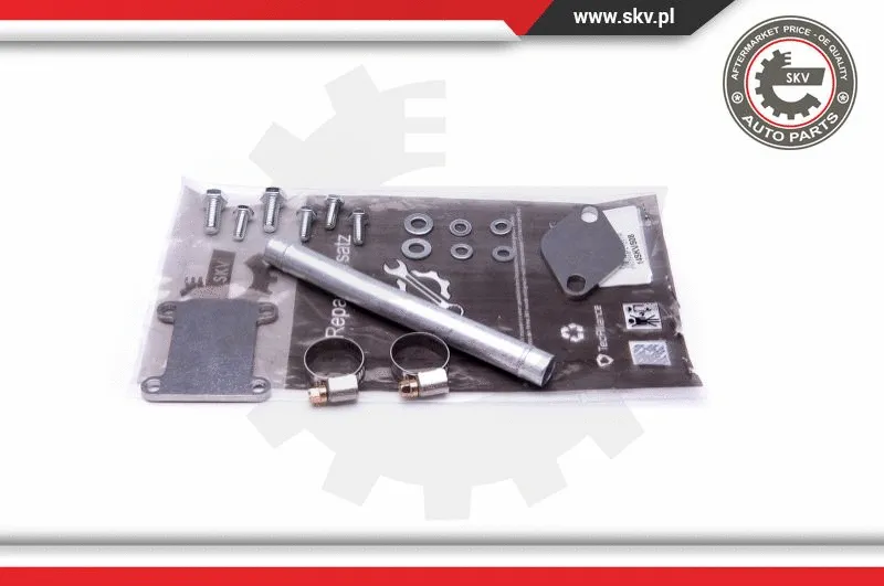 EGR vožtuvo remonto komplektas ESEN SKV 14SKV508
