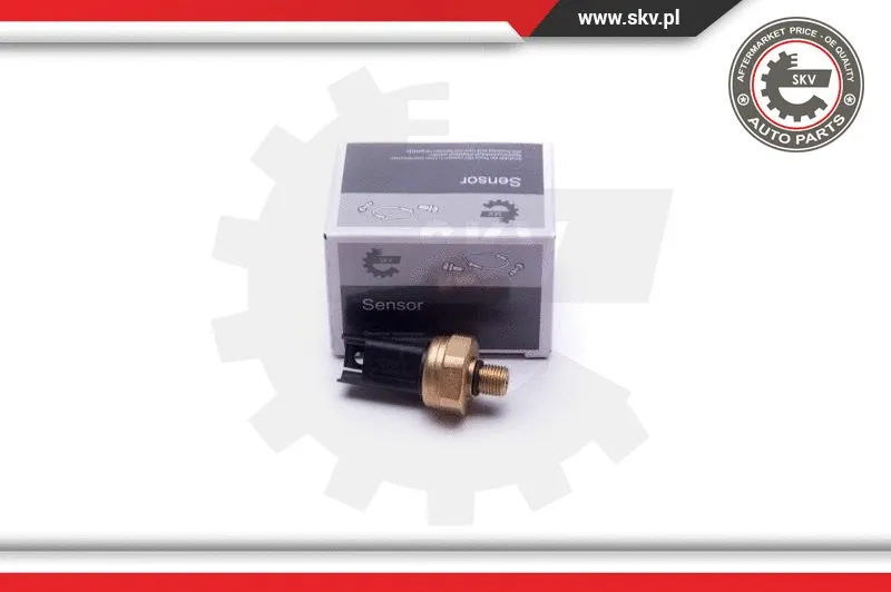 Degalų slėgio jutiklis ESEN SKV 17SKV620