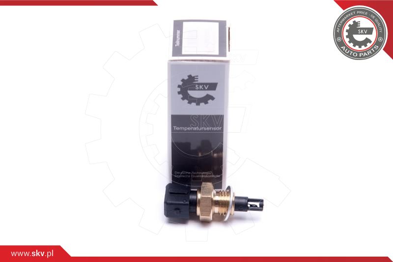 Įsiurbiamo oro temperatūros valdymo blokas ESEN SKV 17SKV685