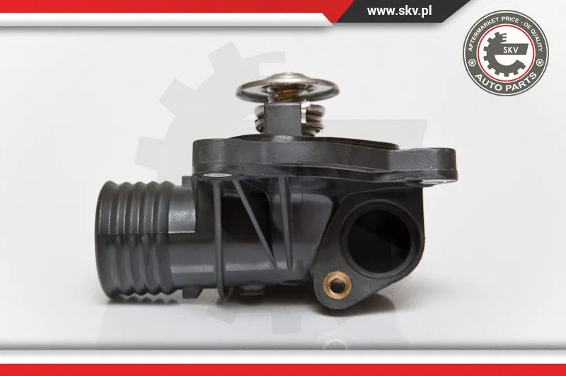 Termostatas ESEN SKV 20SKV001