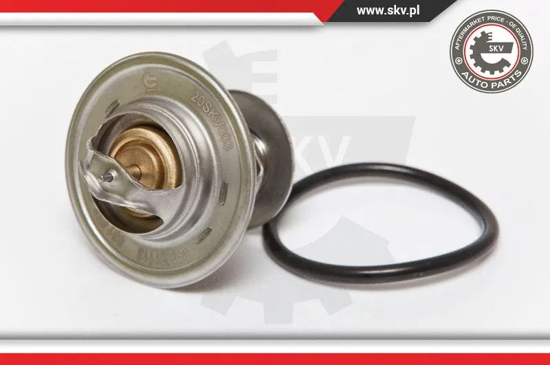 Termostatas ESEN SKV 20SKV003