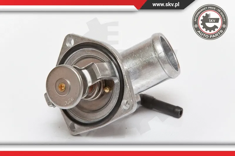 Termostatas ESEN SKV 20SKV005