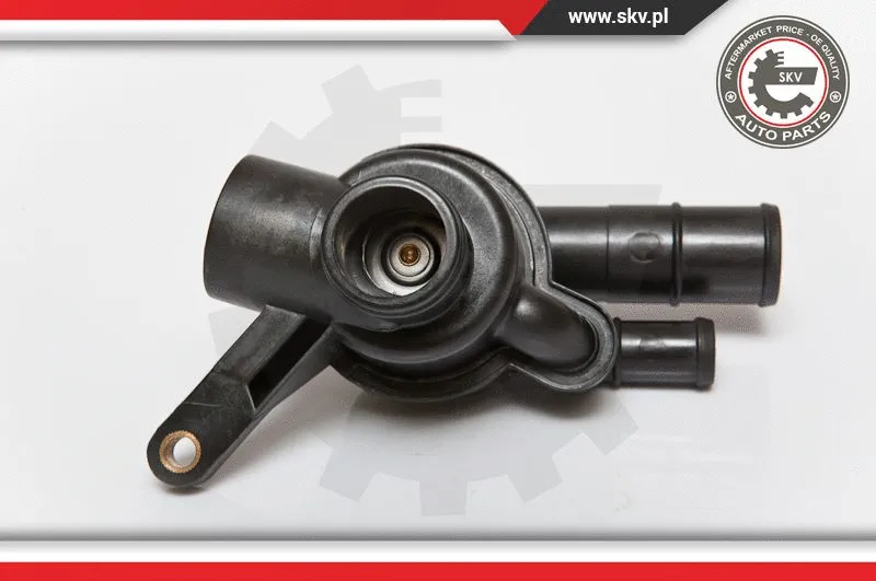 Termostatas ESEN SKV 20SKV007