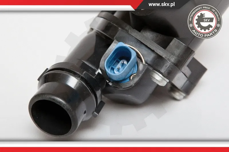 Termostatas ESEN SKV 20SKV014