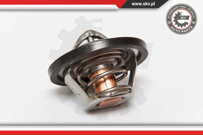 Termostatas ESEN SKV 20SKV015