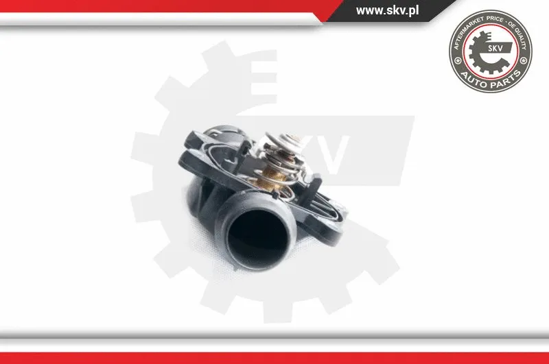 Termostatas ESEN SKV 20SKV027