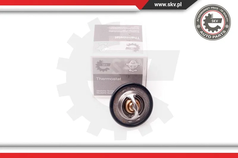 Termostatas ESEN SKV 20SKV047