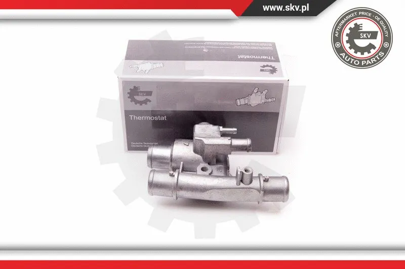 Termostatas ESEN SKV 20SKV053