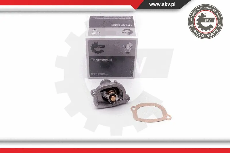 Termostatas ESEN SKV 20SKV054