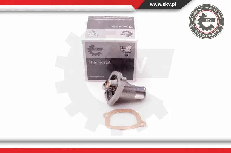 Termostatas ESEN SKV 20SKV055