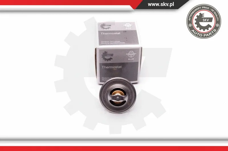 Termostatas ESEN SKV 20SKV058