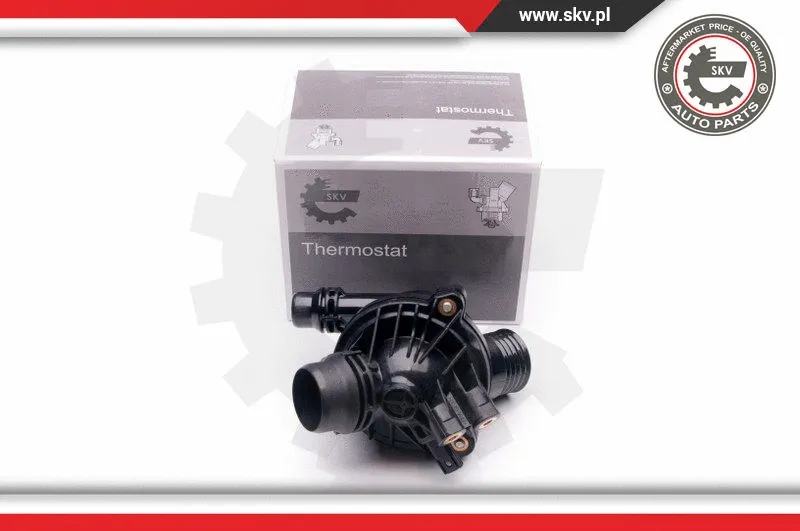 Termostatas ESEN SKV 20SKV061