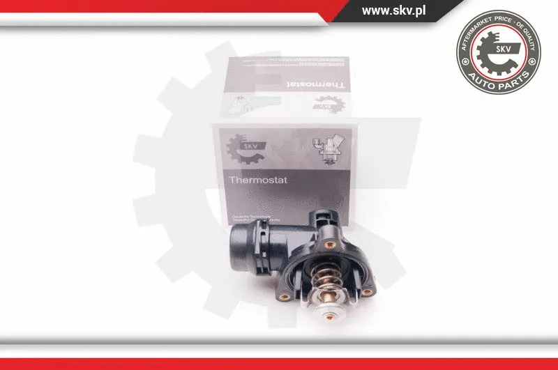 Termostatas ESEN SKV 20SKV062