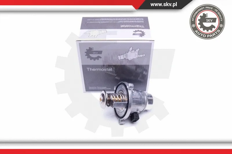 Termostatas ESEN SKV 20SKV063