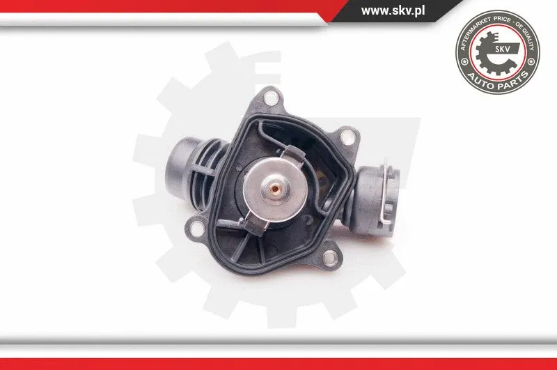Termostatas ESEN SKV 20SKV064