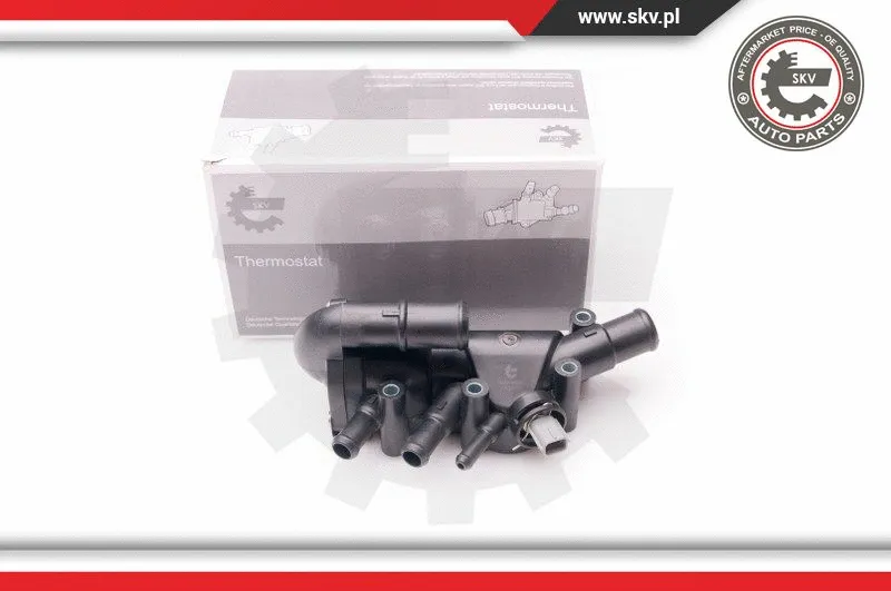 Termostatas ESEN SKV 20SKV066