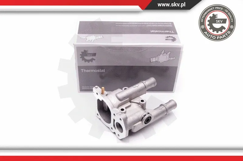 Termostatas ESEN SKV 20SKV067