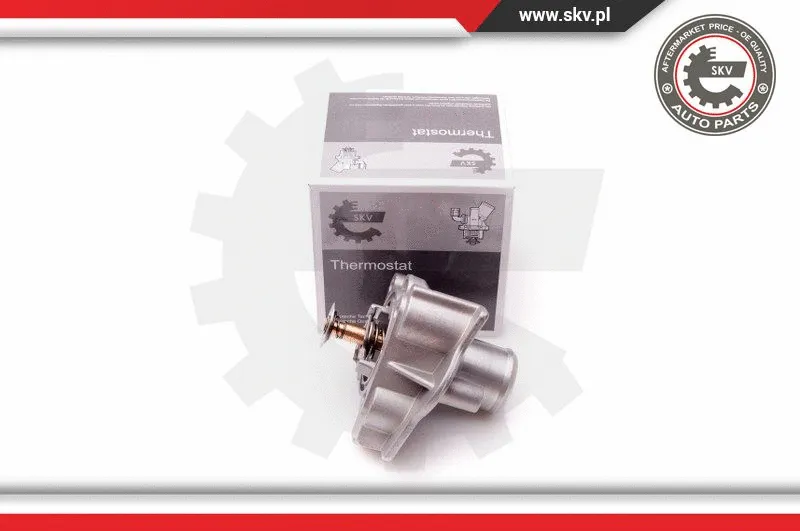Termostatas ESEN SKV 20SKV069