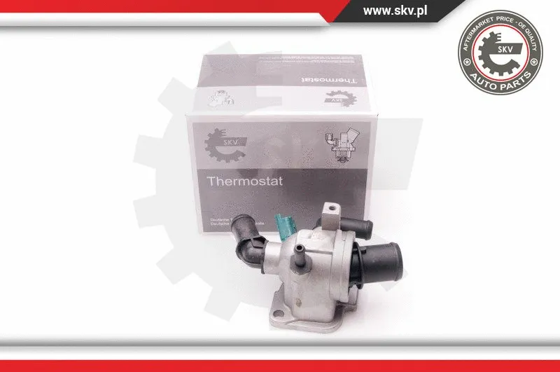 Termostatas ESEN SKV 20SKV071