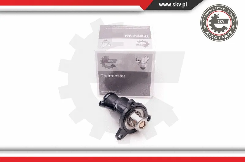 Termostatas ESEN SKV 20SKV074