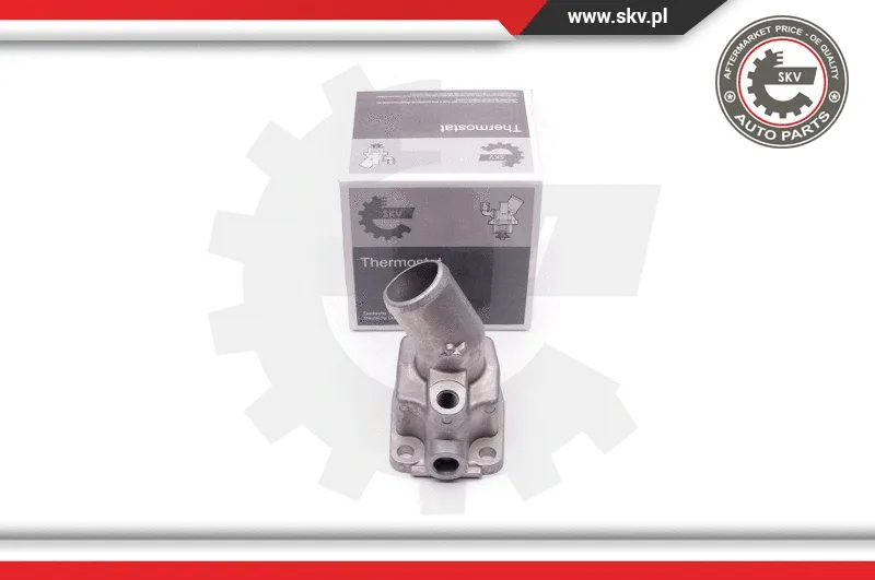 Termostatas ESEN SKV 20SKV079