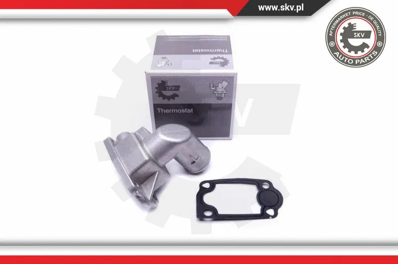 Termostatas ESEN SKV 20SKV080