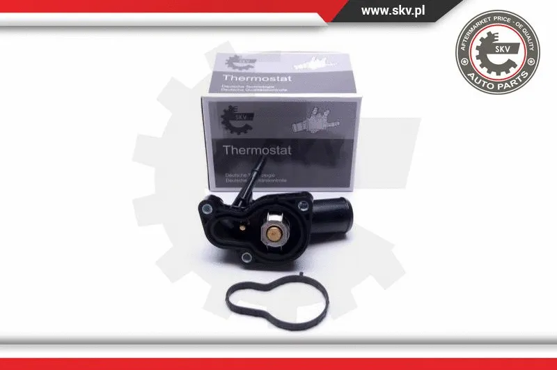 Termostatas ESEN SKV 20SKV090