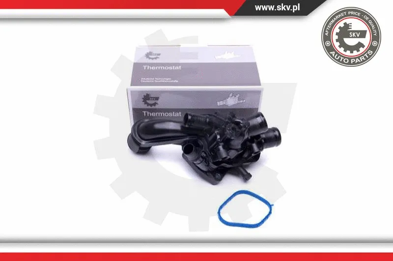 Termostatas ESEN SKV 20SKV096
