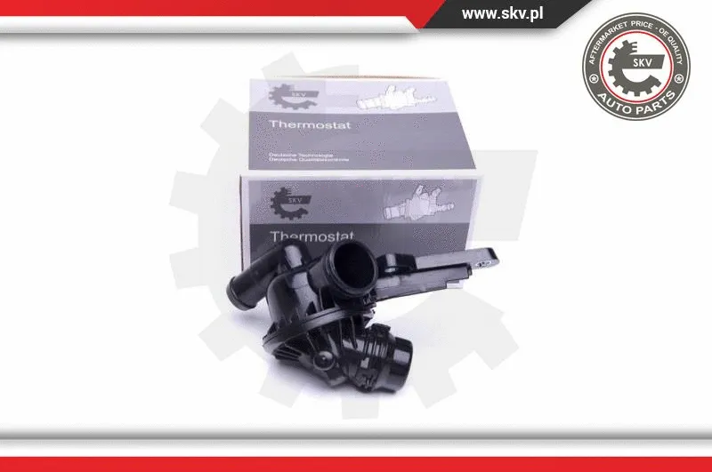 Termostatas ESEN SKV 20SKV098