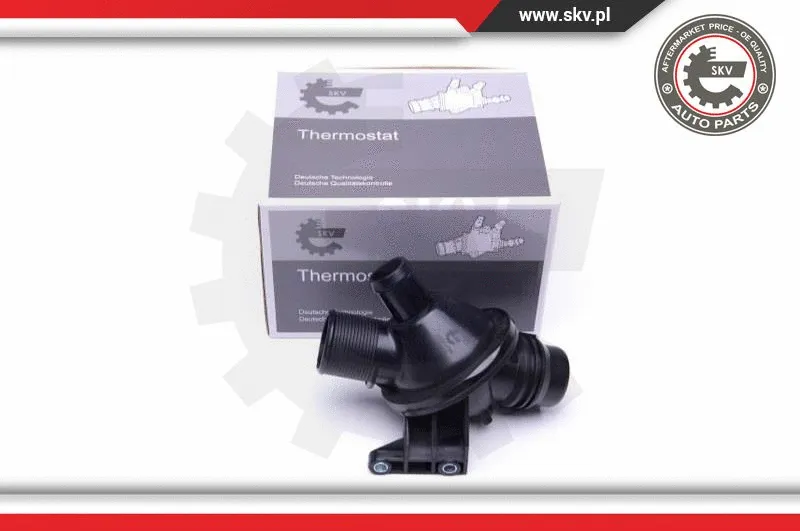 Termostatas ESEN SKV 20SKV099