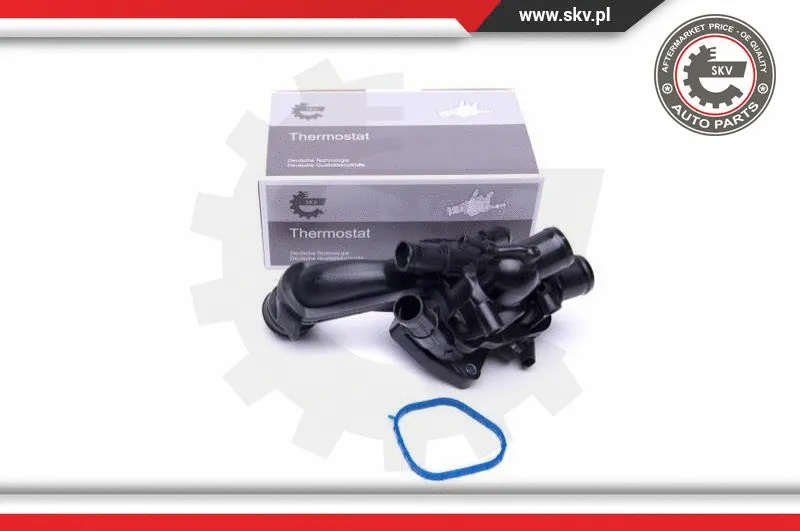 Termostatas ESEN SKV 20SKV100