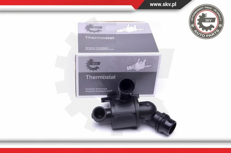 Termostatas ESEN SKV 20SKV102