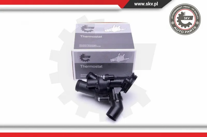 Termostatas ESEN SKV 20SKV103