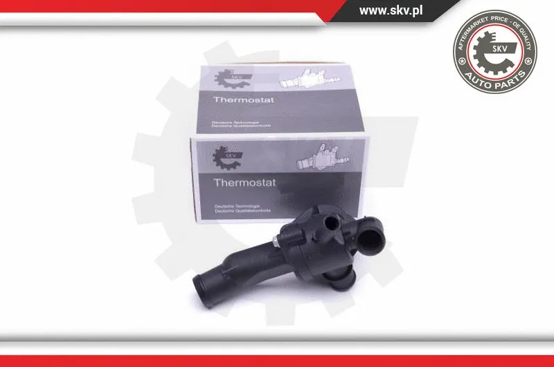 Termostatas ESEN SKV 20SKV105